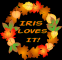 Autumn Wreath - Iris Loves It!