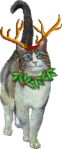 CHRISTMAS CAT