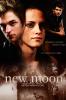 New Moon Poster