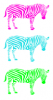 Random colourfullz Zebrass.