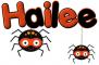 Hailee Spider