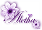 Purple Flowers - Aletha