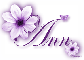 Purple Flower - Ann