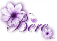 Purple Flower - Bere