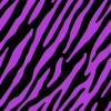Purple zebra background