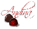 Andina chocolate cherries