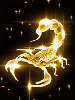 gold scorpion