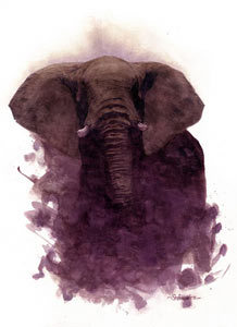 elephant clip