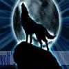dark_wolf