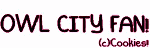 owl city fan