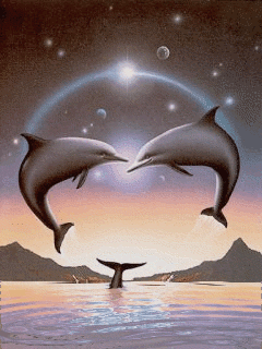 dolphins kissing