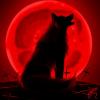 Wolf howling at blood moon