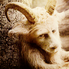 Where The Wild Things Are