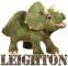 Dinosaur - Leighton