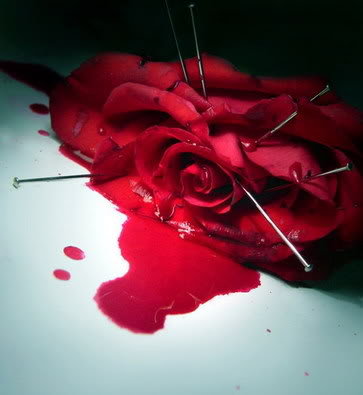 rose