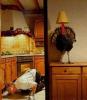 hiding turkey