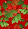 red holly background wallpaper
