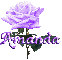 purple rose amanda