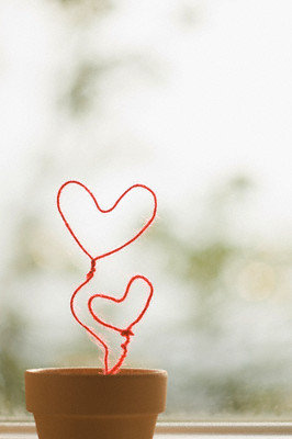 love grow