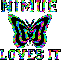 NIMUE Butterfly Loves it
