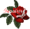 Butterfly Red Rose - Genalyn