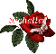 Butterfly Red Rose - Richelle