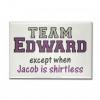 Team Edward ? Team Jacob ?