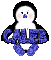 Baby Boy Penguin -Caleb-