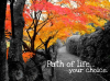 Path of life