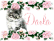 Silver Cat and Roses Darla Thank You For Being A Friend
