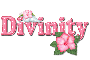Pink Hibiscus: Divinity