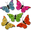 butterflies baclground