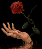 The Rose