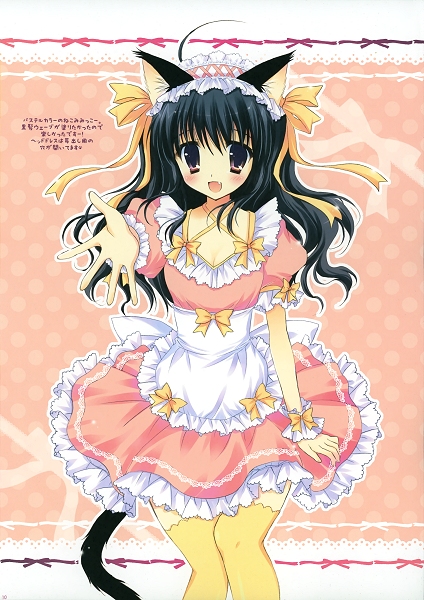 Neko