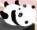 panda online now