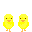 Twin Chicks