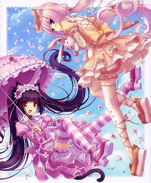 Chocola Vainilla