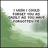 I wish I could forget you
