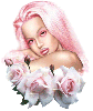 pink rose lady