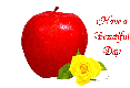 Apple with rose