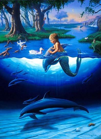 Mermaid Boy