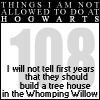 Things I Will Not do at Hogwarts