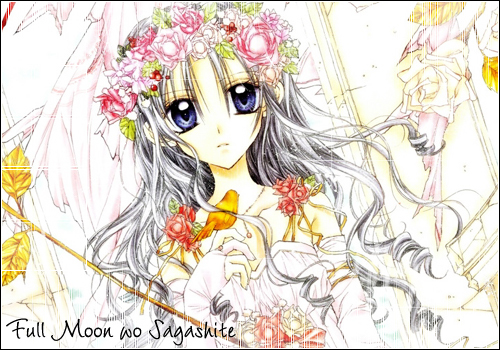 Full Moon wo Sagashite