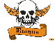 dianita orange skull