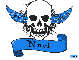 noel blue skull