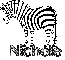 nichole zebra2