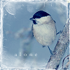 Birdie Alone 