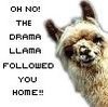 The drama llama followed you home!