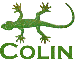 Colin's geko