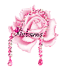 pink rose for auburne